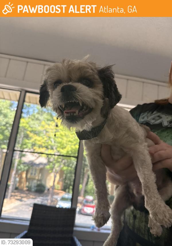 Found/Stray Male Dog last seen The overlook at sandy springs, Atlanta, GA 30350