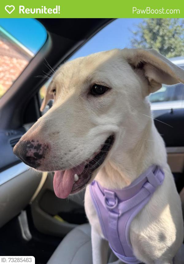 Reunited Female Dog last seen Victoria/Bells Ferry, Cherokee County, GA 30189