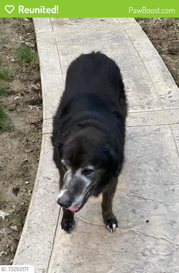 Reunited Unknown Dog last seen Near Briarwood Drive, Urbana, OH 43078
