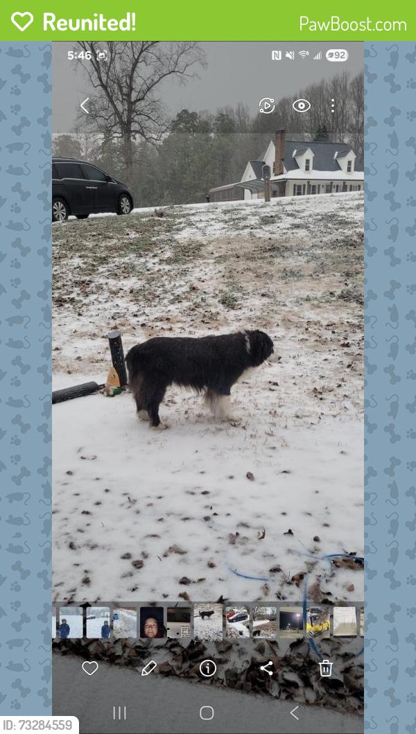 Reunited Male Dog last seen Stoney point, Kings Mountain, NC 28086