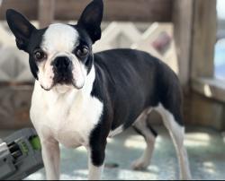 Reunited Female Dog last seen The I-73/I-74 Seagrove Northbound Visitor Center is about 1 mile south The I-73/I-74 Seagrove Northbound Visitor Center is about 1 mile south of NC-705/Exit 61, directly on I-73/I-74. � NC-705/Exit 61, directly on I-73/I-74. �, Seagrove, NC 27341