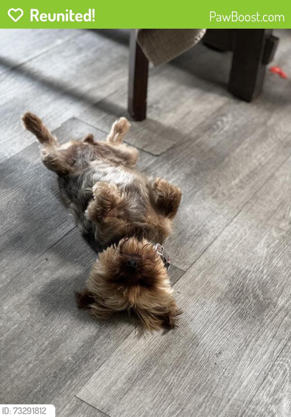 Reunited Female Dog last seen Connoley cir, Chula Vista, CA 91911
