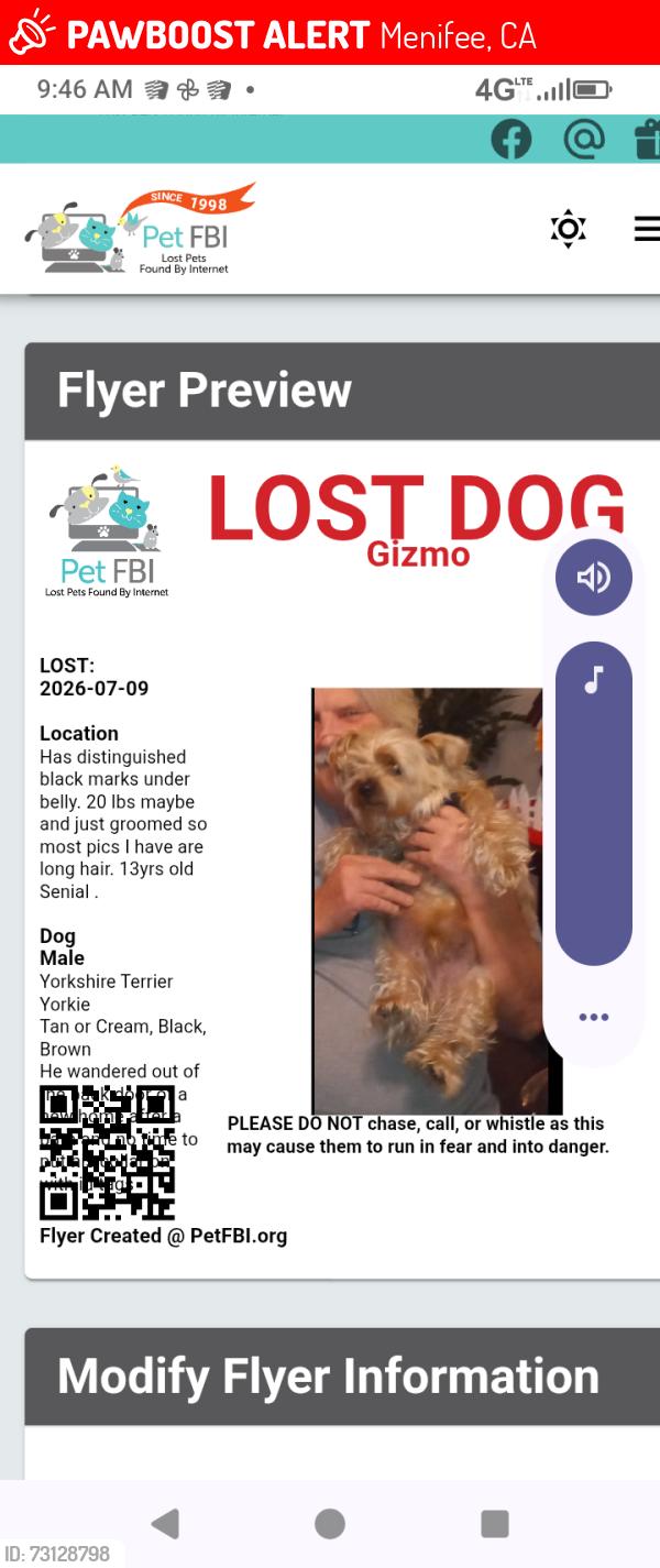 Lost Male Dog last seen Murrieta road, Menifee, CA 92586