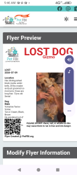 Lost Male Dog last seen Murrieta road, Menifee, CA 92586