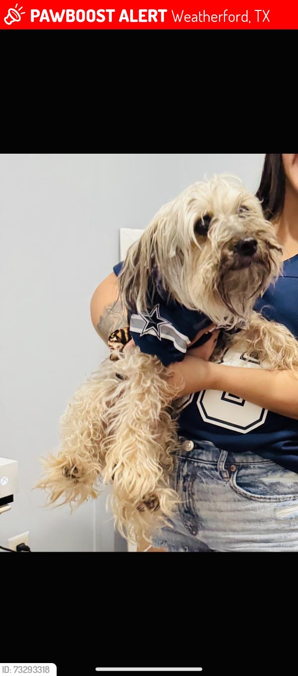 Lost Male Dog last seen Parker county, Weatherford, TX 76085