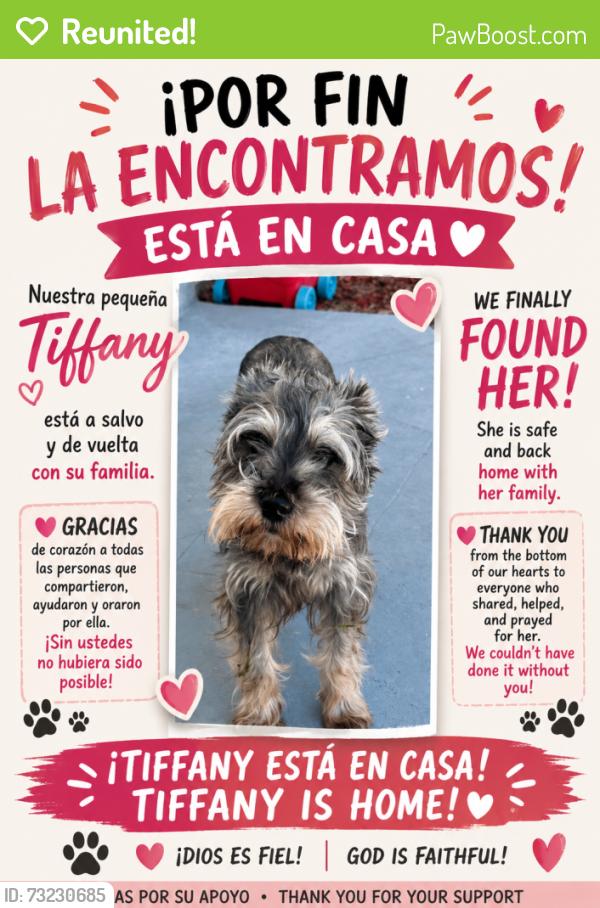 Reunited Female Dog last seen WITHFIELD, Sarasota, FL 34236