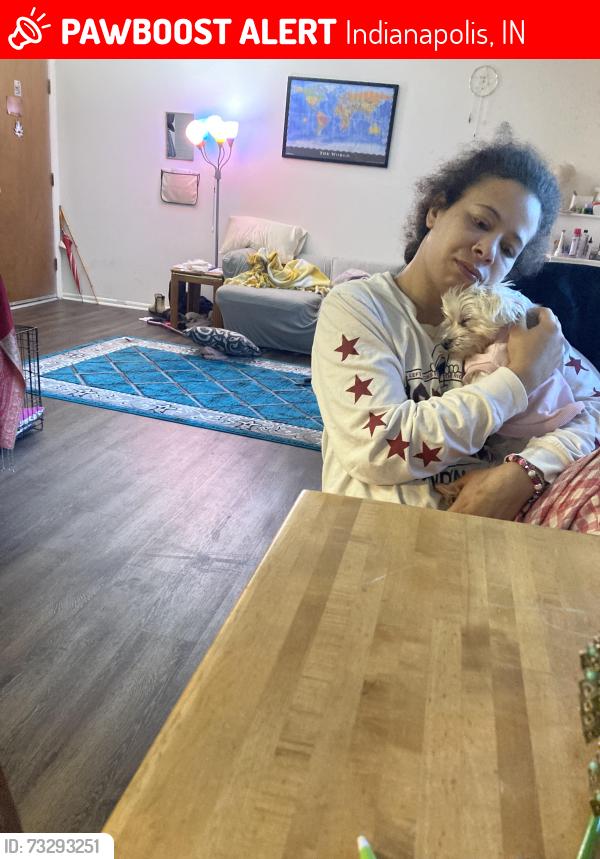 Lost Female Dog last seen Near N Riley Ave, indianapolis, in 46218, Indianapolis, IN 46218