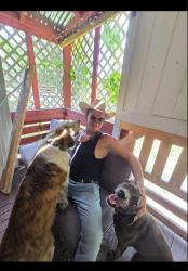 Lost Male Dog last seen CR 217 long branch road, Jacksonville, FL 32234