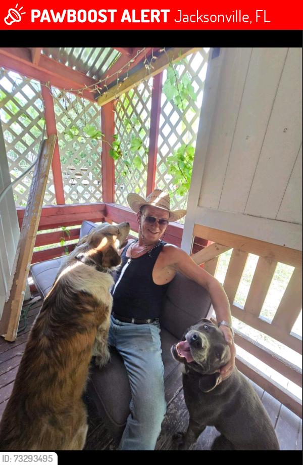 Lost Male Dog last seen CR 217 long branch road, Jacksonville, FL 32234