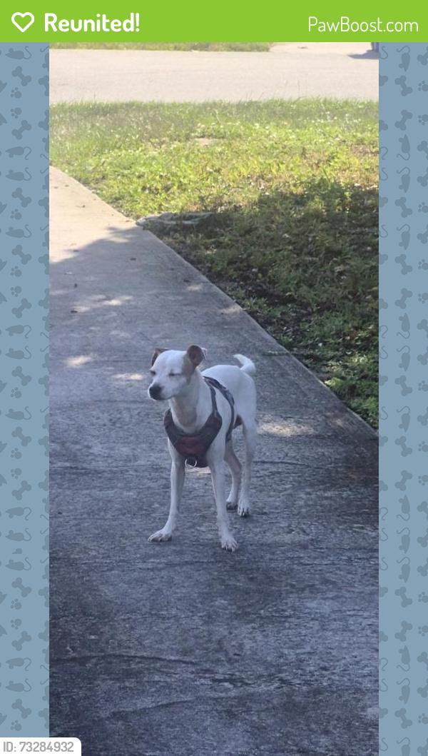 Reunited Male Dog last seen Mallard and Wren, Hobe Sound, FL 33455