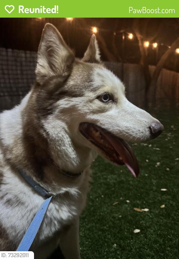 Reunited Male Dog last seen Tonkawa Pass, Garden Ridge, TX 78266