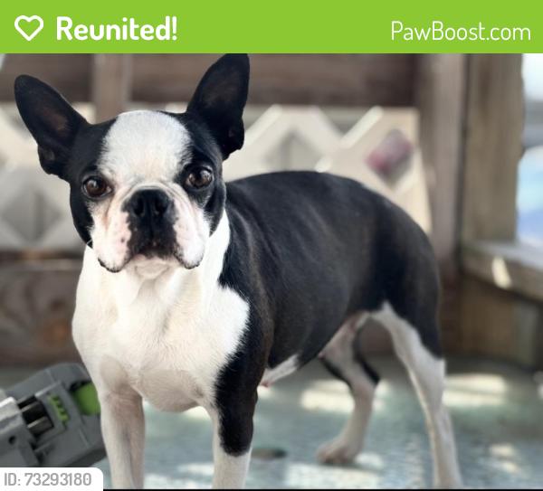 Reunited Female Dog last seen The I-73/I-74 Seagrove Northbound Visitor Center is about 1 mile south The I-73/I-74 Seagrove Northbound Visitor Center is about 1 mile south of NC-705/Exit 61, directly on I-73/I-74. � NC-705/Exit 61, directly on I-73/I-74. �, Seagrove, NC 27341