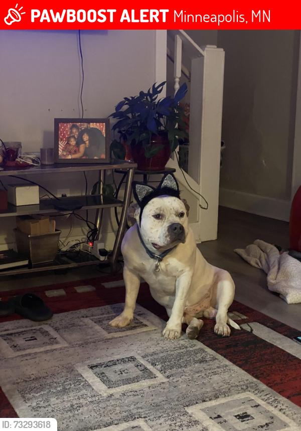 Lost Male Dog last seen 36th and giraud, Minneapolis, MN 55412