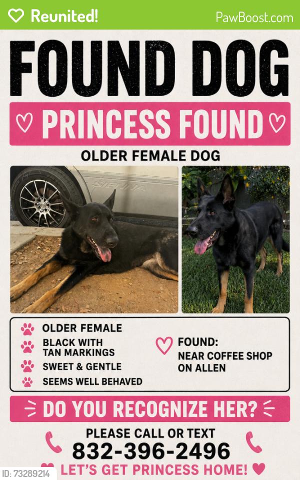 Reunited Female Dog last seen Allen st, Altadena, CA 91001