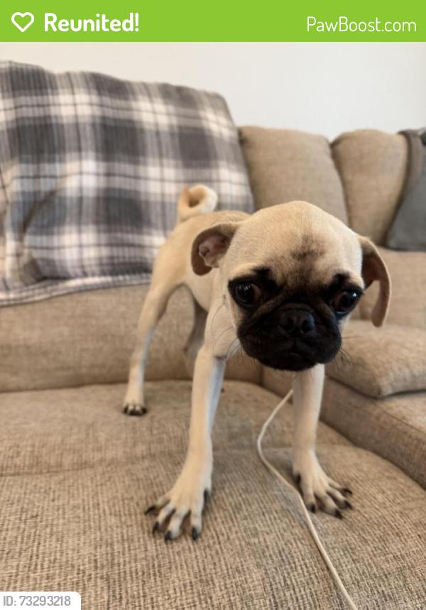 Reunited Male Dog last seen Near, Tomball, TX 77375
