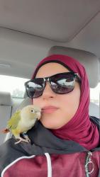 Lost Unknown Bird last seen Tollgate crossing, Aurora, CO 80016