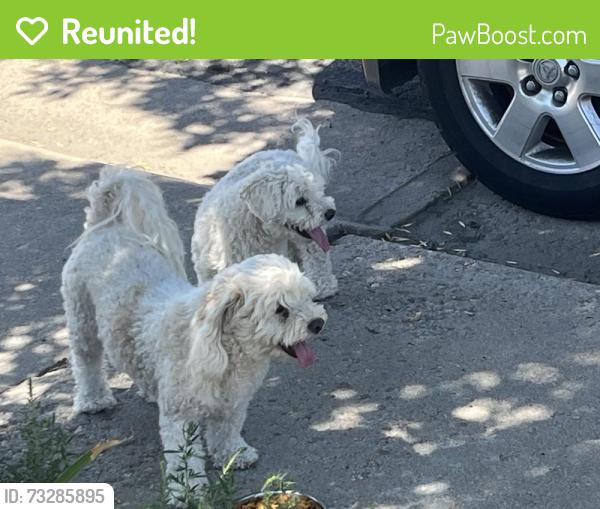 Reunited Unknown Dog last seen 88th and Monroe St, Thornton, CO 80229