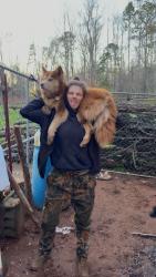 Reunited Female Dog last seen Owens rd, Piedmont sc, Piedmont, SC 29673