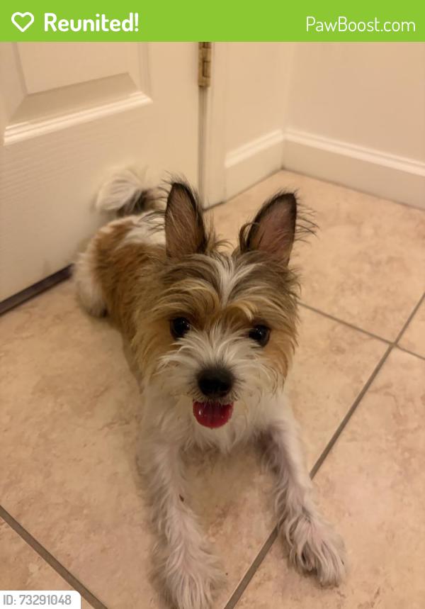 Reunited Unknown Dog last seen Near Rosemead Ave, Los Angeles, CA 90032, USA, Los Angeles, CA 90032