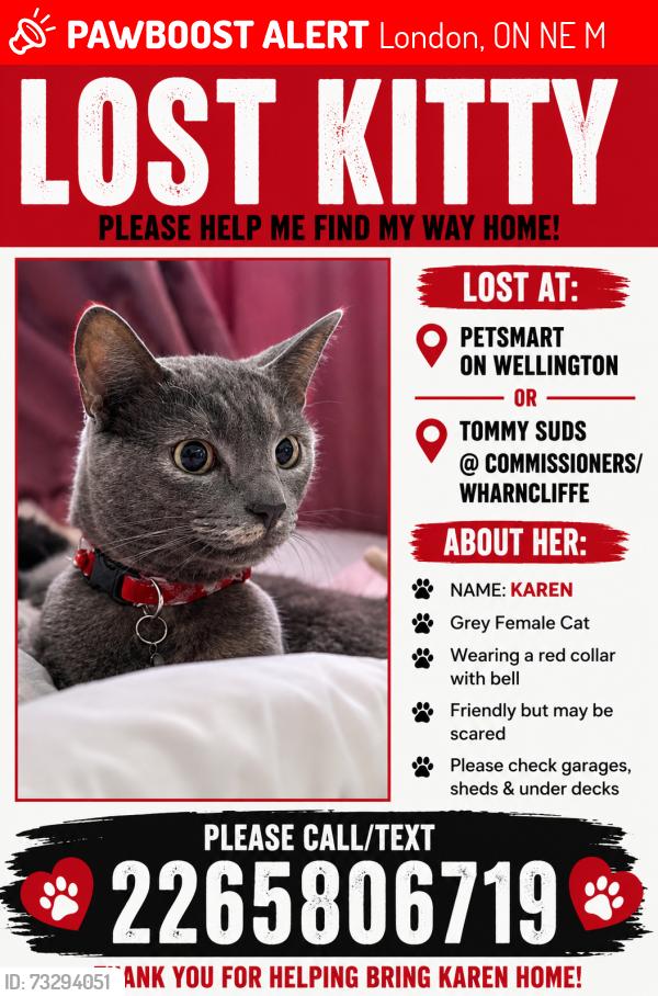 Lost Female Cat last seen Wellington road, London, ON N6E 1M3