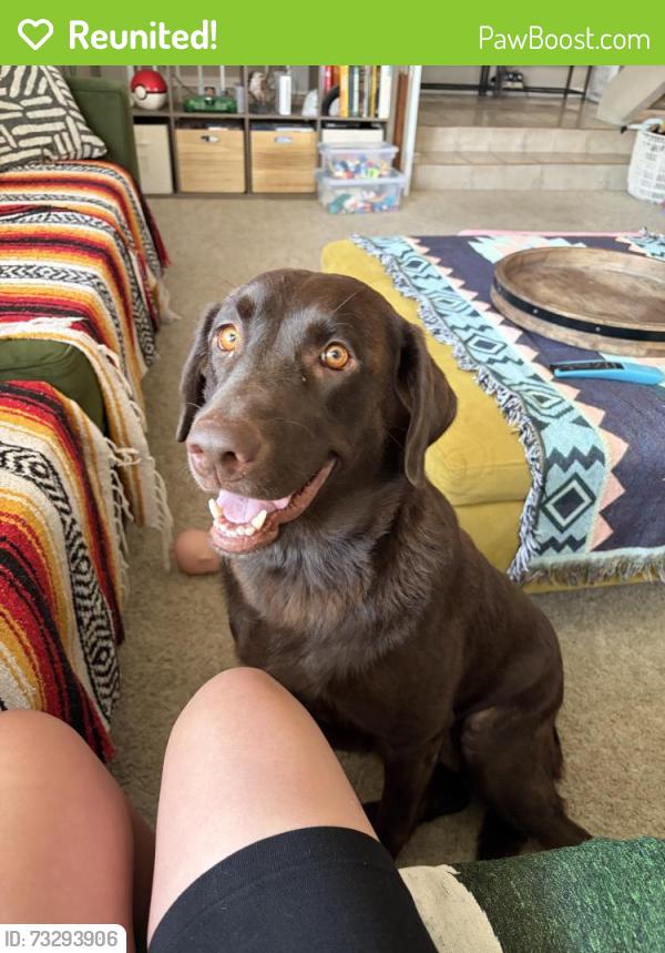 Reunited Female Dog last seen Near Villa Ct, Highland, CA 92346, USA, Highland, CA 92346