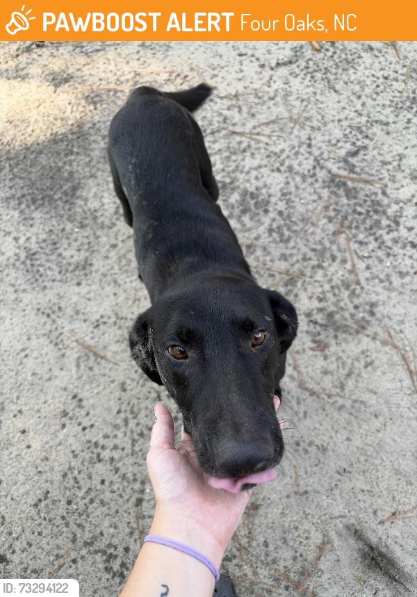 Found/Stray Male Dog last seen end of parkertown rd, Four Oaks, NC 27524