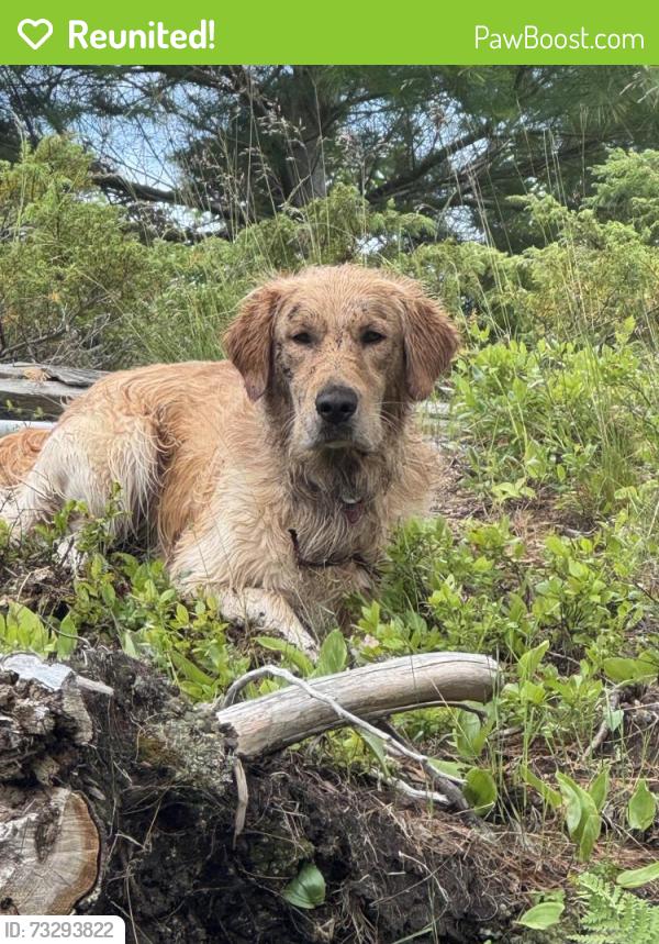 Reunited Male Dog last seen Hwy 497, Argyle, TX 76226