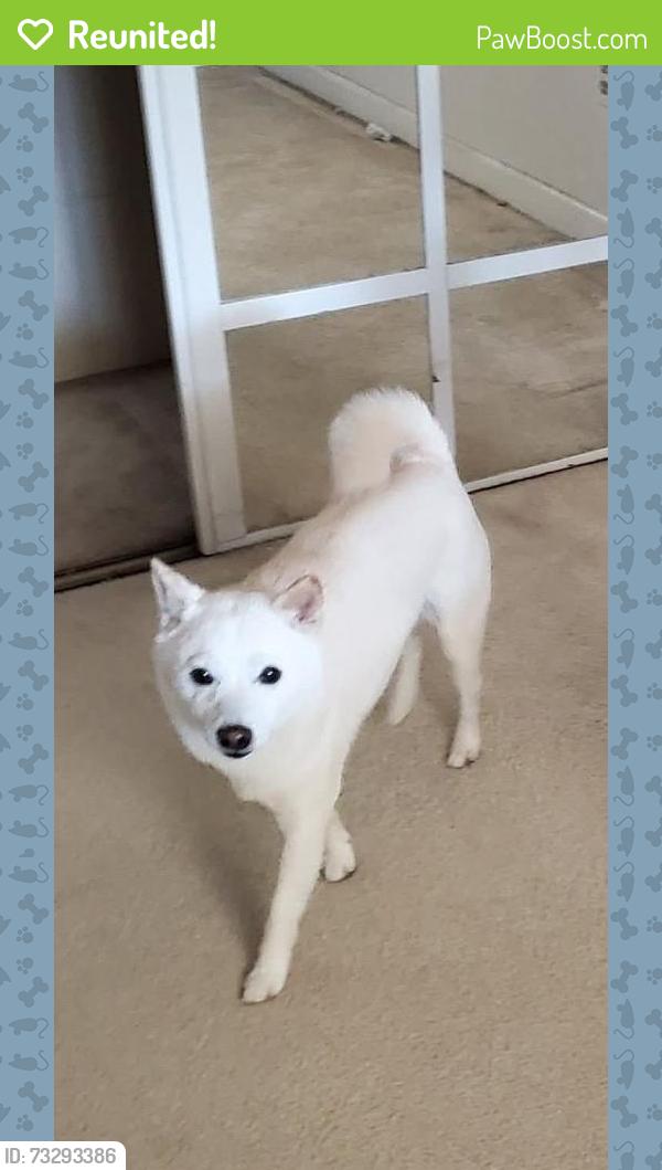 Reunited Male Dog last seen Hollyhills Ne 189th St & 129th, Bothell, WA 98011