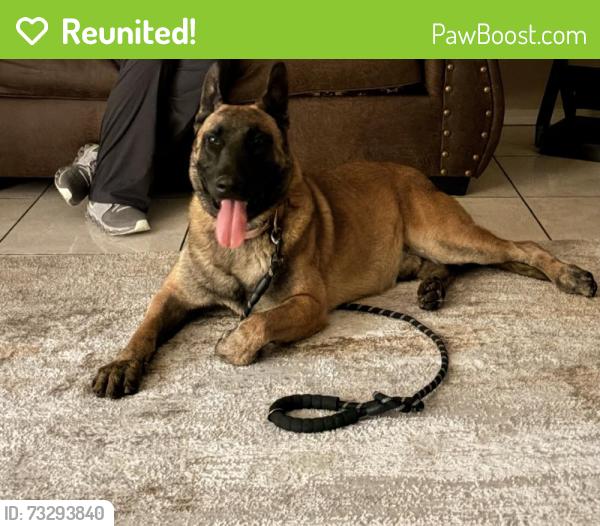 Reunited Male Dog last seen Raymac Rd SW, Albuquerque, NM 87105, USA, Albuquerque, NM 87105