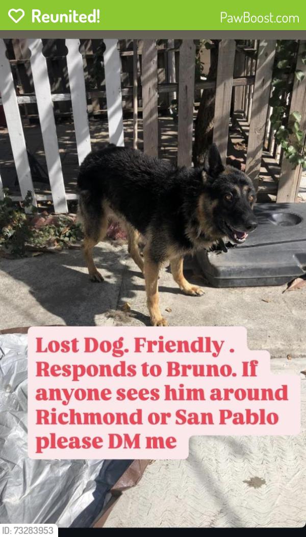 Reunited Male Dog last seen Barrett Ave and 22nd street, Richmond, CA 94808