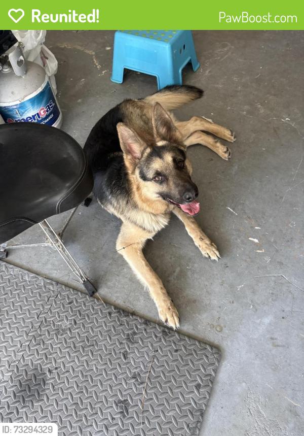 Reunited Male Dog last seen Yewleaf ct, The Woodlands, TX 77381