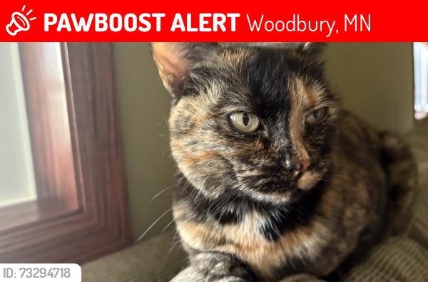 Lost Female Cat last seen Corner of Grey and White Eagle area and Eagle Valley, Woodbury, MN 55129
