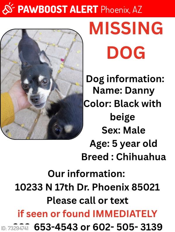 Lost Male Dog last seen 17th Ave and Cochise, Phoenix, AZ 85021