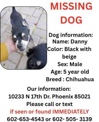 Lost Male Dog last seen 17th Ave and Cochise, Phoenix, AZ 85021