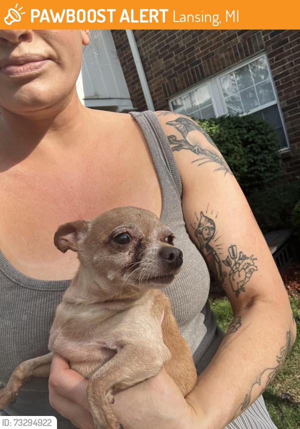 Found/Stray Female Dog last seen Beechfield and Miller, Lansing, MI 48911