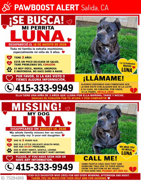 Lost Female Dog last seen Zinfandel and Maximillian Salida ca, Salida, CA 95368