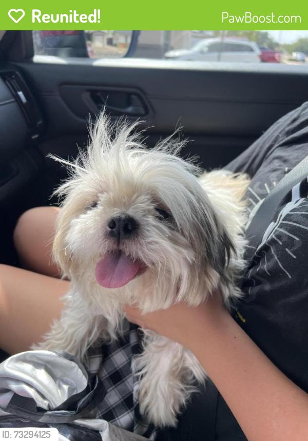 Reunited Male Dog last seen Quaker Ave, Lubbock, TX 79414