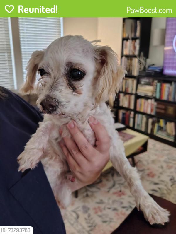 Reunited Unknown Dog last seen 380/Gee Rd, Prosper, TX 75078