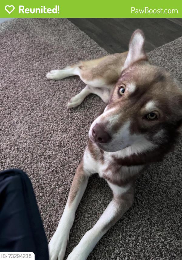 Reunited Male Dog last seen Osuna, Albuquerque, NM 87109