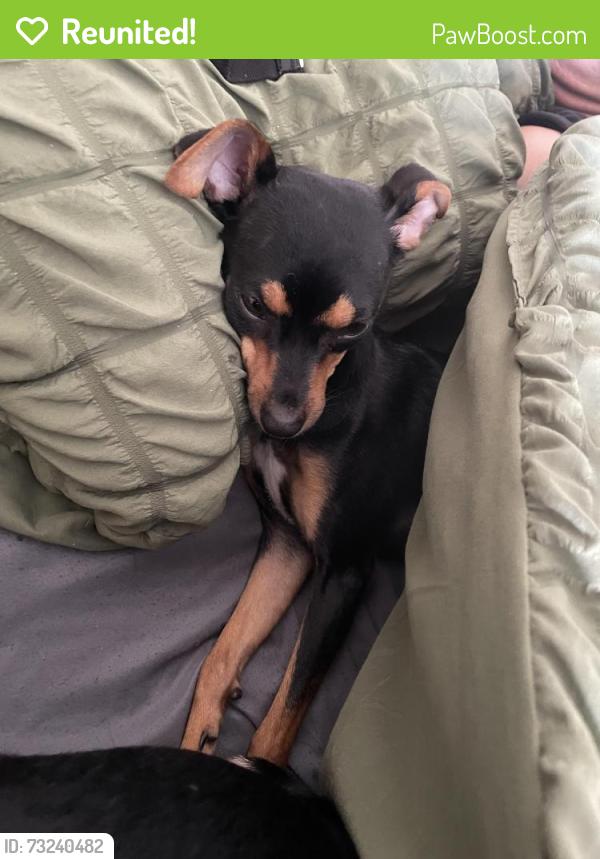 Reunited Female Dog last seen YMCA field, Goldsboro, NC 27534