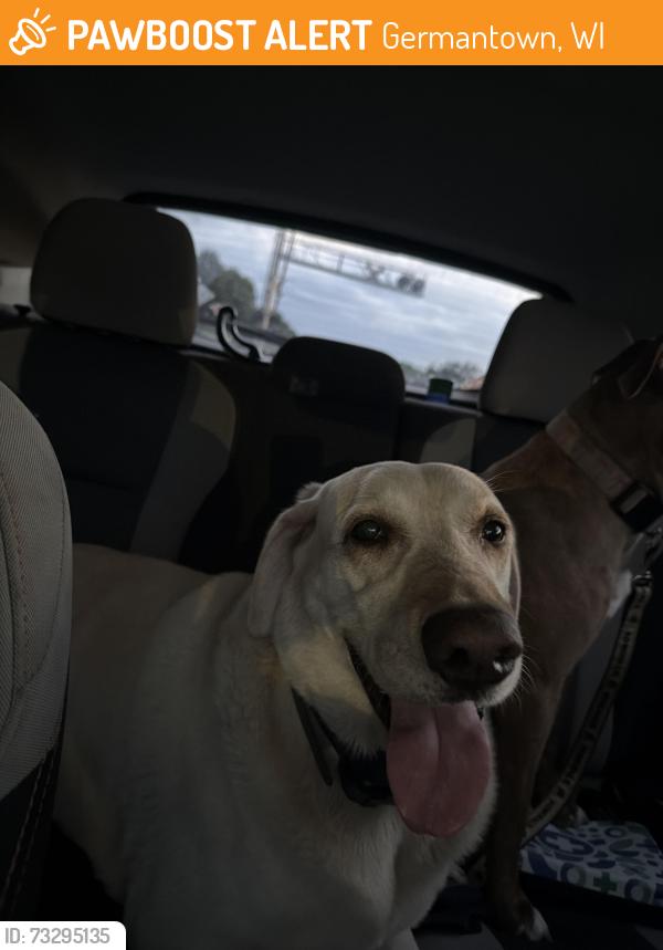 Found/Stray Male Dog last seen N River ln, Germantown, WI 53022