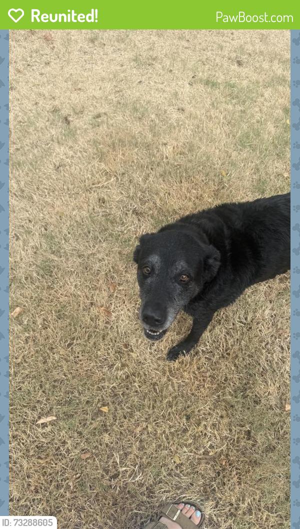 Reunited Unknown Dog last seen May & NW 25th, Oklahoma City, OK 73107
