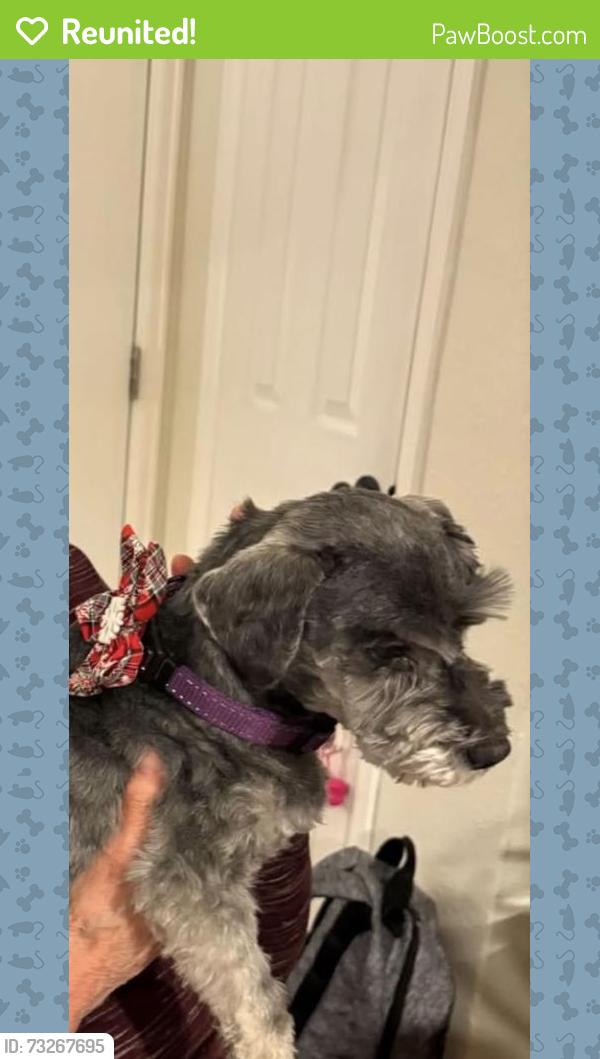 Reunited Female Dog last seen Federal and Bowles, Littleton, CO 80123