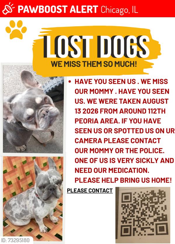 Lost Female Dog last seen 112th and peoria, Chicago, IL 60643
