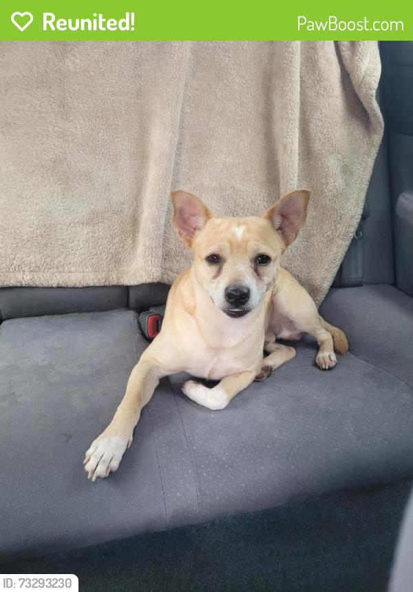 Reunited Male Dog last seen Walker, Oklahoma City, OK 73118