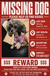 Lost Female Dog last seen Near kenwick, San Antonio, TX 78238