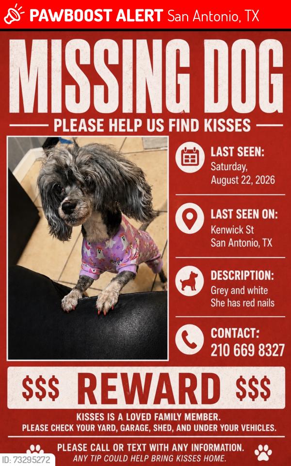 Lost Female Dog last seen Near kenwick, San Antonio, TX 78238