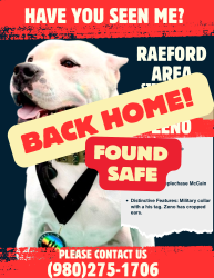 Reunited Male Dog last seen Raeford, NC, Raeford, NC 28376