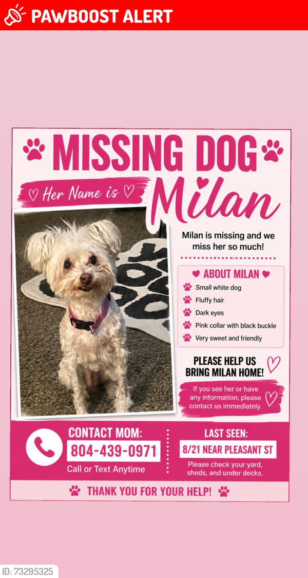 Lost Female Dog last seen Pleasant st, Highland Springs, VA 23075
