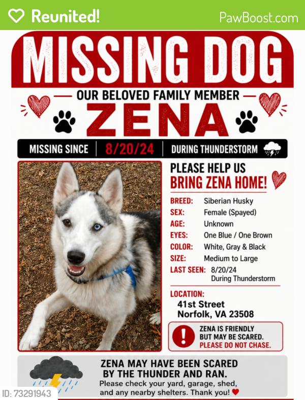 Reunited Female Dog last seen Old Dominion University, Norfolk, VA 23508